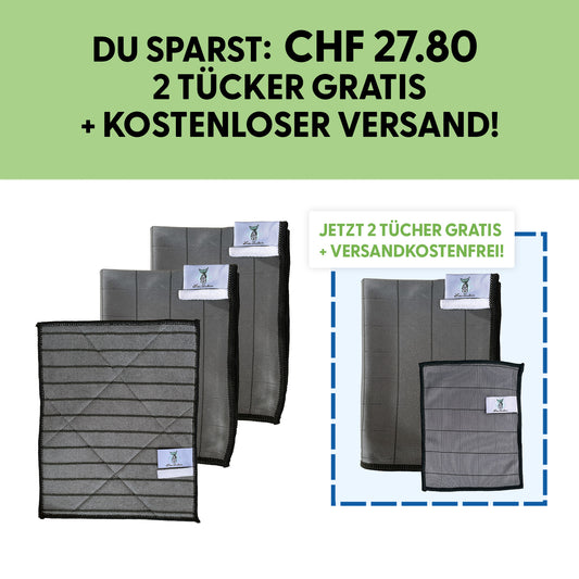 Lisi Sauber Glanz-Set